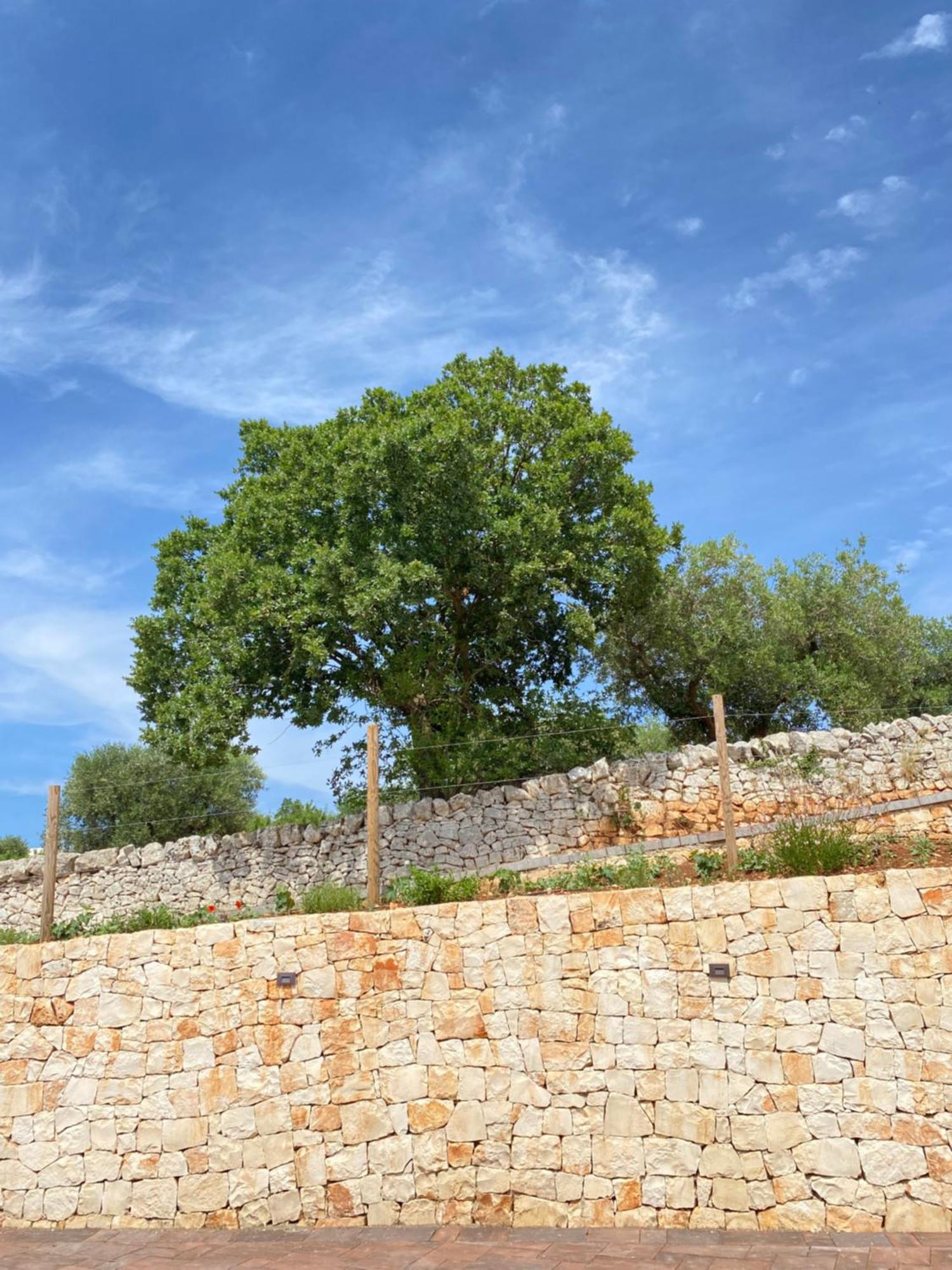 شقة Trulli Mbs By Apulia Hospitality لوكوروتوندو المظهر الخارجي الصورة