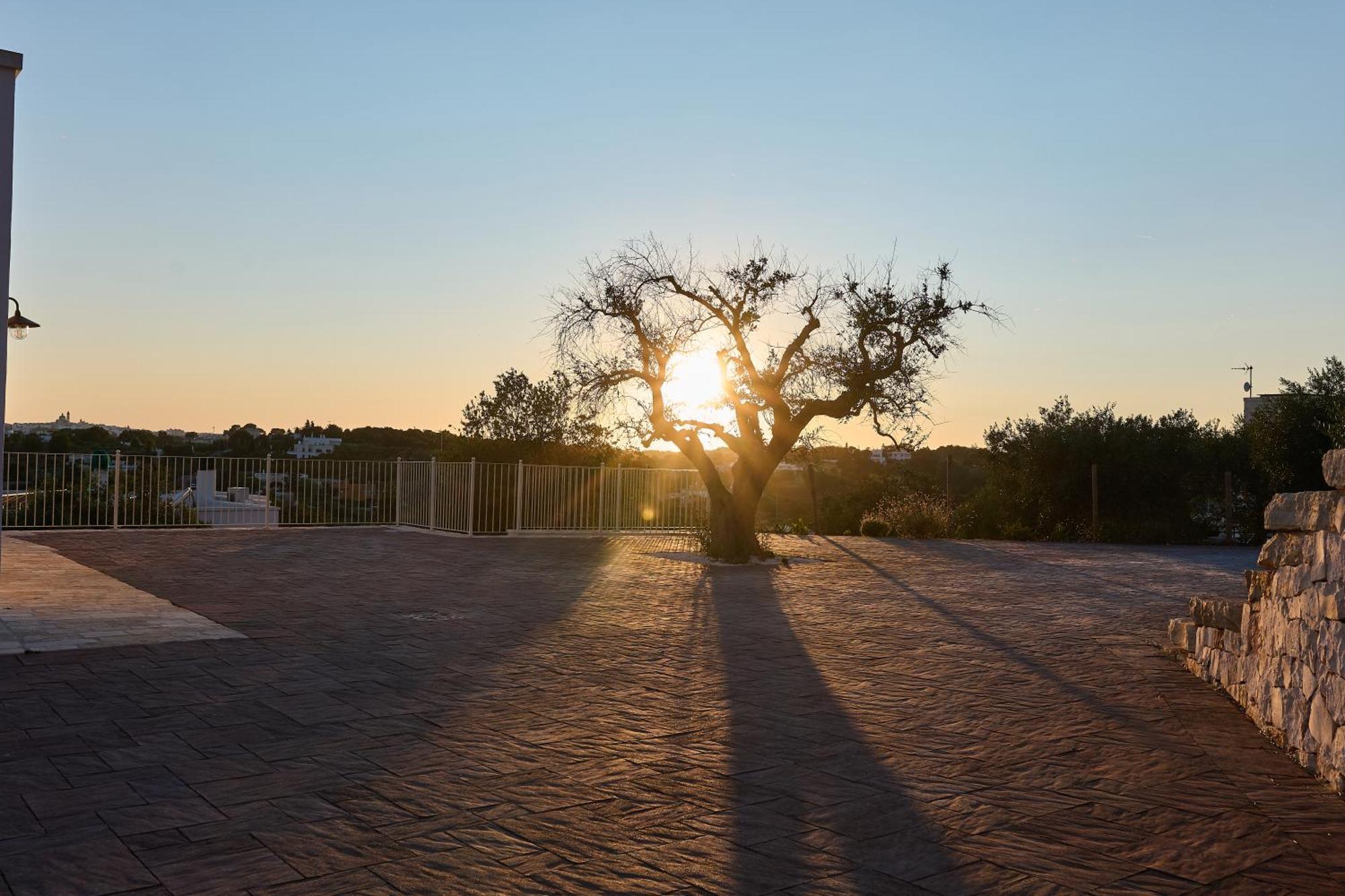 شقة Trulli Mbs By Apulia Hospitality لوكوروتوندو المظهر الخارجي الصورة