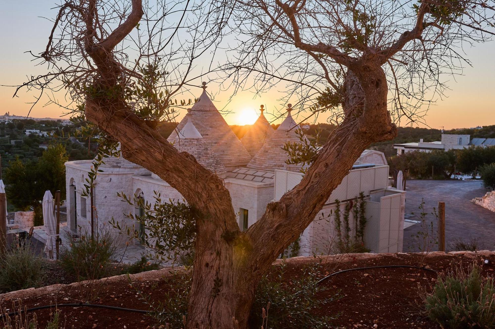 شقة Trulli Mbs By Apulia Hospitality لوكوروتوندو المظهر الخارجي الصورة